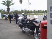 GoLdWiNg